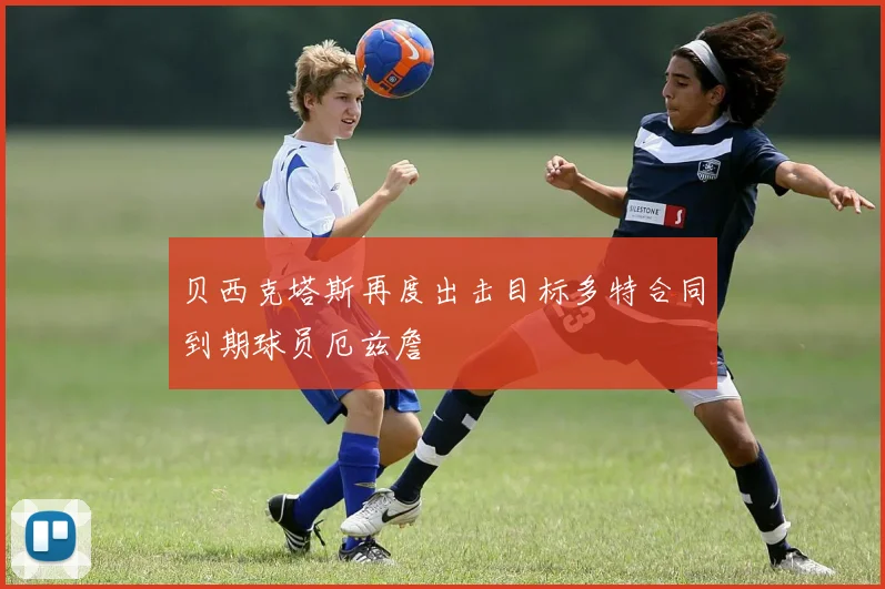 贝西克塔斯再度出击目标多特合同到期球员厄兹詹