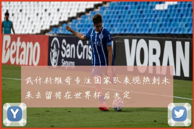 武什科维奇专注国家队表现热刺未来去留将在世界杯后决定