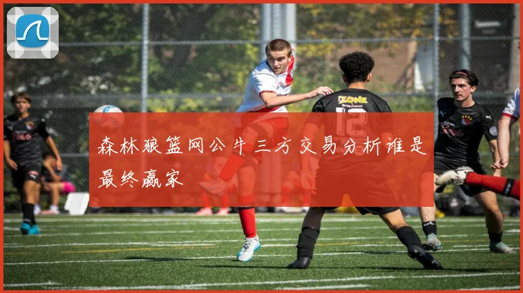 森林狼篮网公牛三方交易分析谁是最终赢家