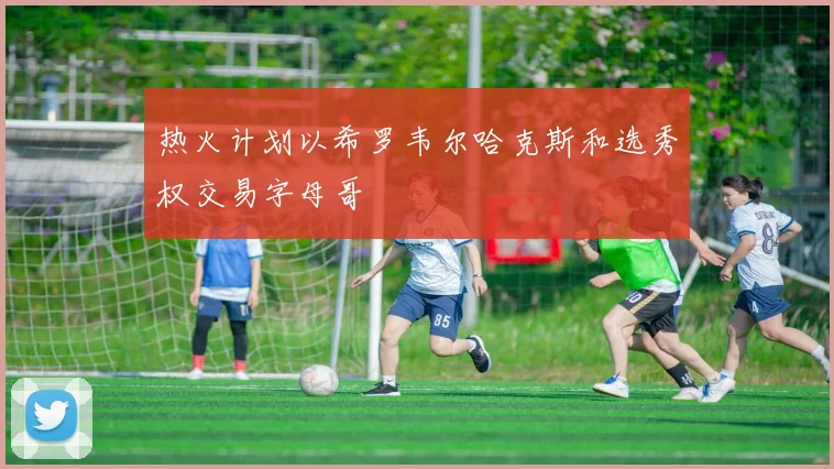 热火计划以希罗韦尔哈克斯和选秀权交易字母哥