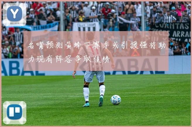 名嘴预测黄蜂下赛季或引援强将助力现有阵容争取佳绩